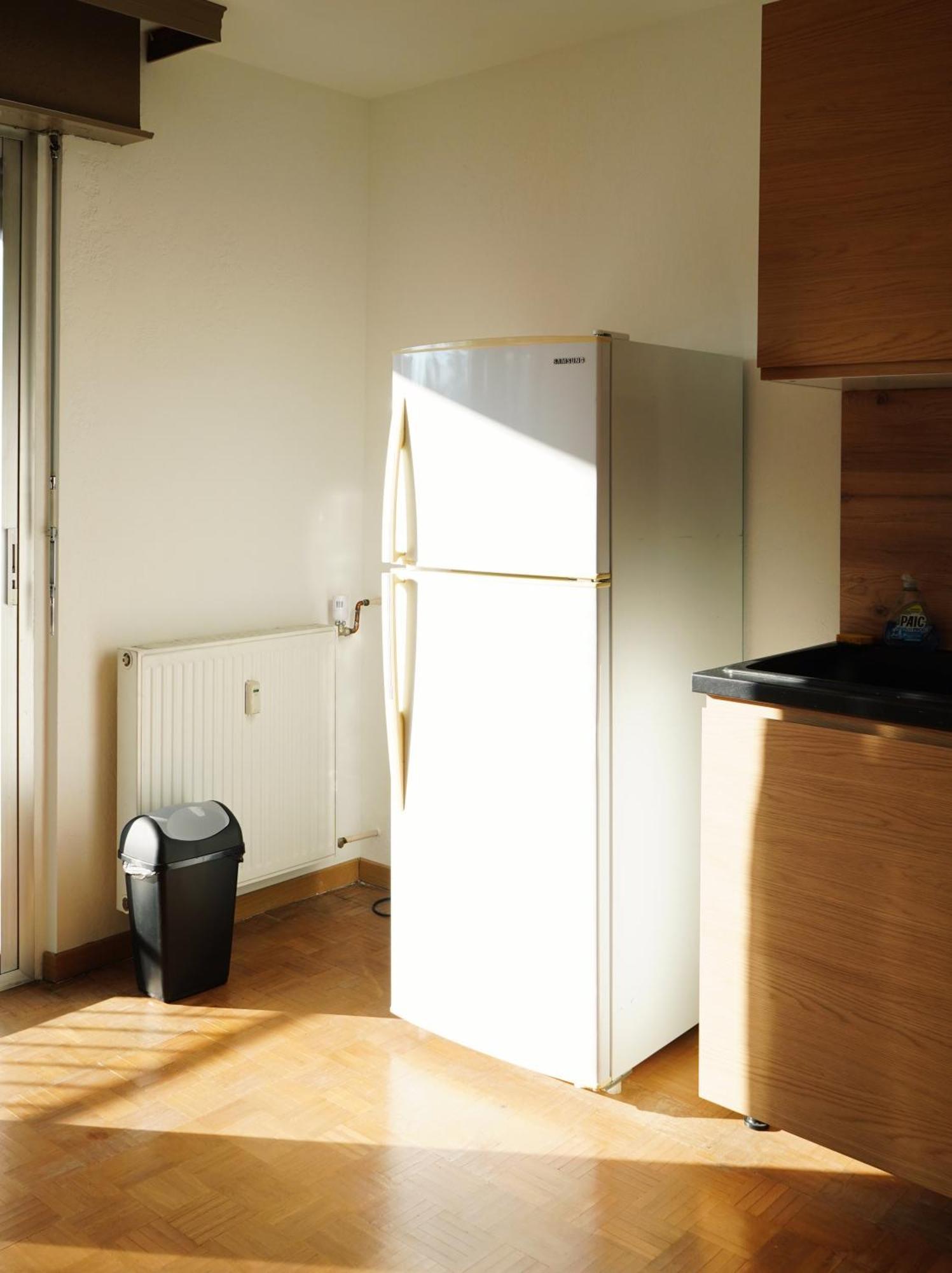 Apartement Saint Louis Train Station- Euroairport- Basel Εξωτερικό φωτογραφία